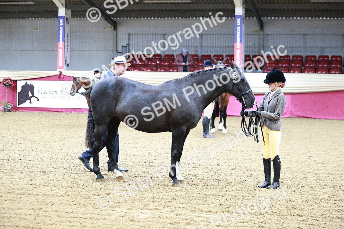 SBM_00225 - Class 1A - Area IH Diamond