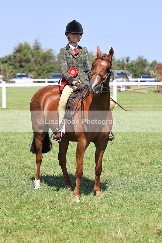 IMG_2065 - Class 34: Show Hunter Pony 153cm and under