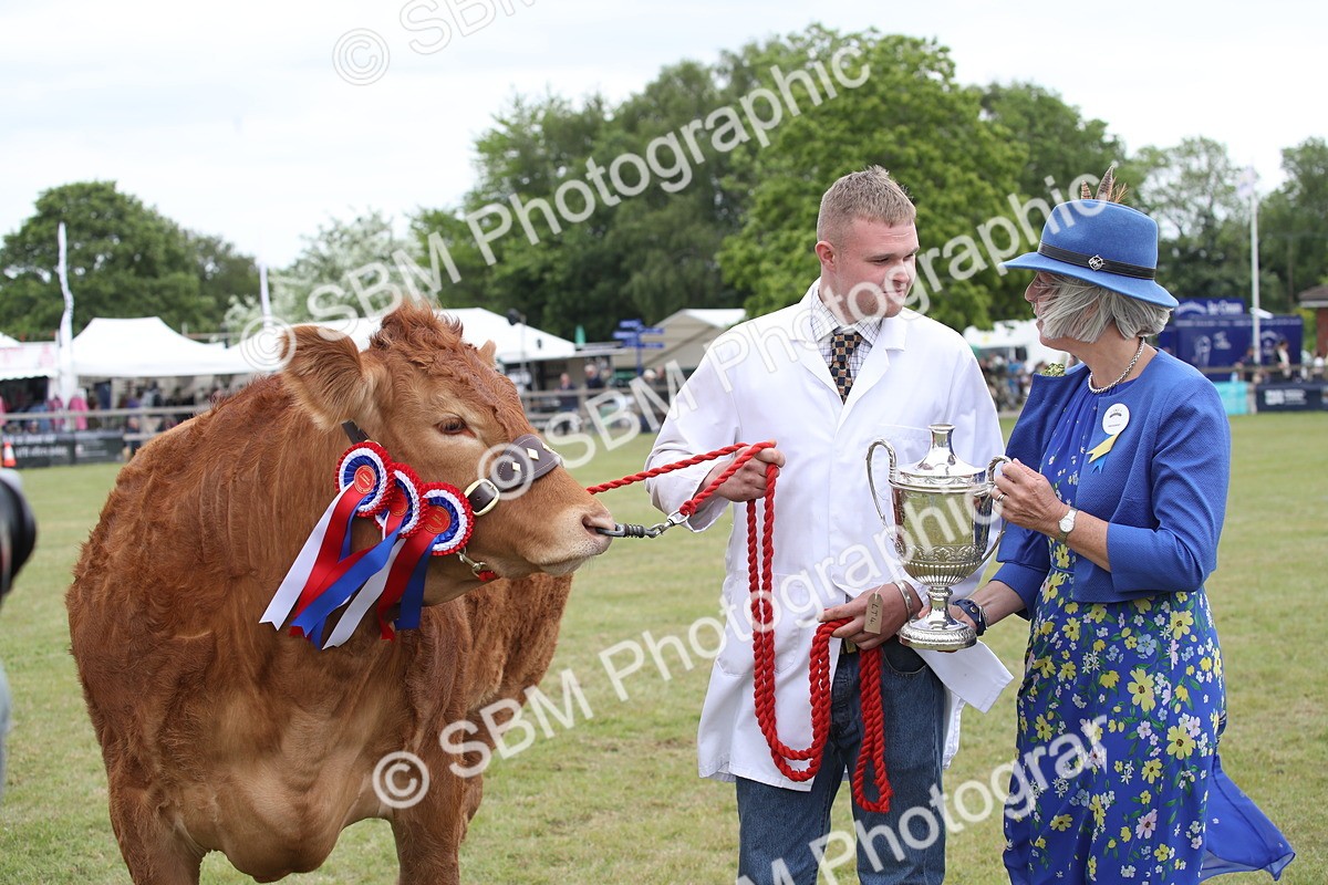 SBM_07921 - Grand Parade