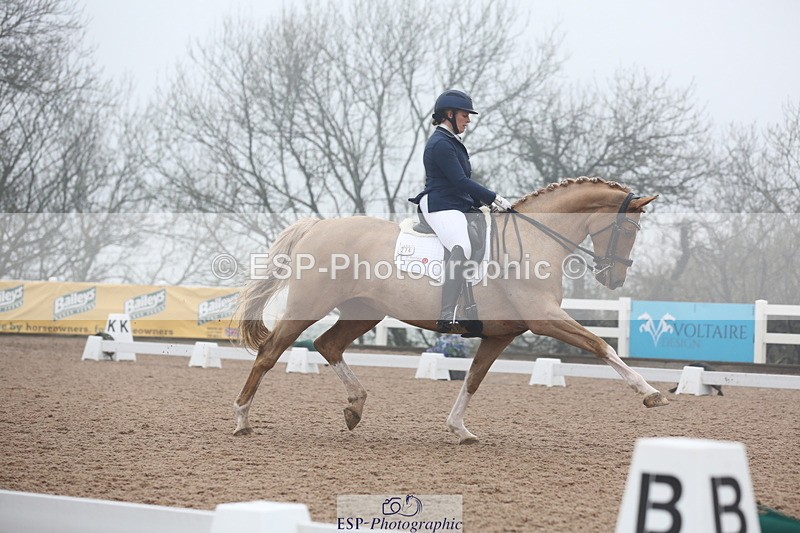 240217A-123255-02901 - 274-Clare.Smith-Dori.Dragon.Fly