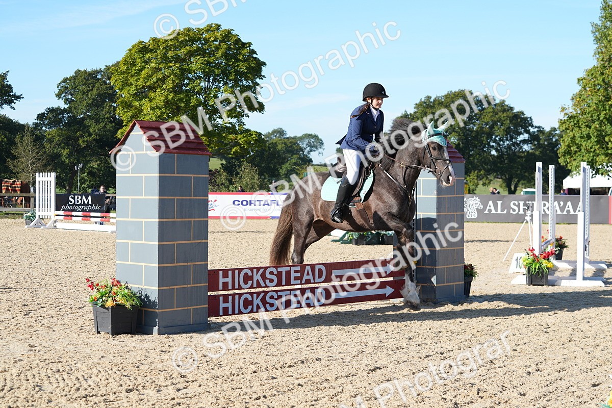 SBM_34460 - J62 - Clear Round 50cm