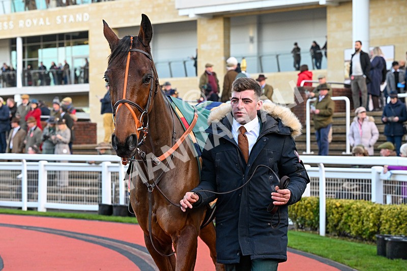121225-Race 6-Placenet-6240 - Race 6