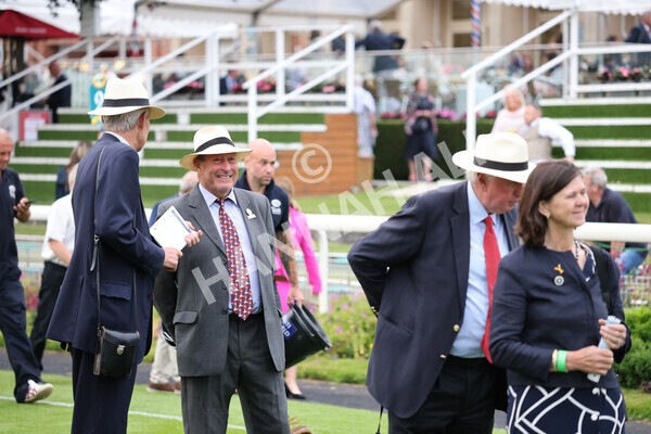 yr23072021r5-39 - Race 5 8.00pm Gallop Racing Stakes