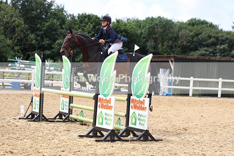 3E7A0151 - Class 9: Senior British Novice/90cm open