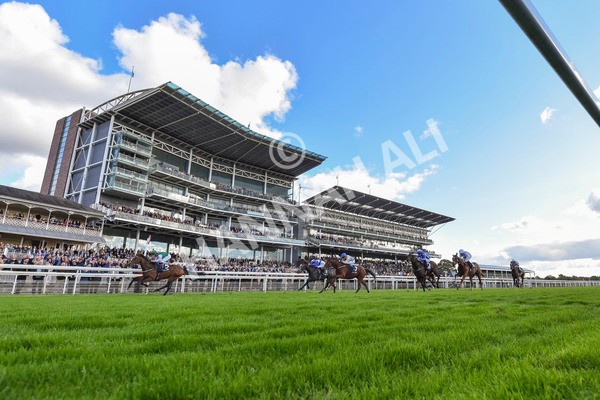 111024-Race 3-Minstrel Knight-7964 - Race 3 2.40pm William Hill Finale Handicap
