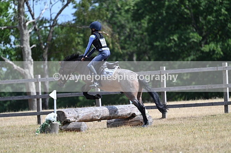 WJ7_0913 - 60cm Time 12:26 to 12:46