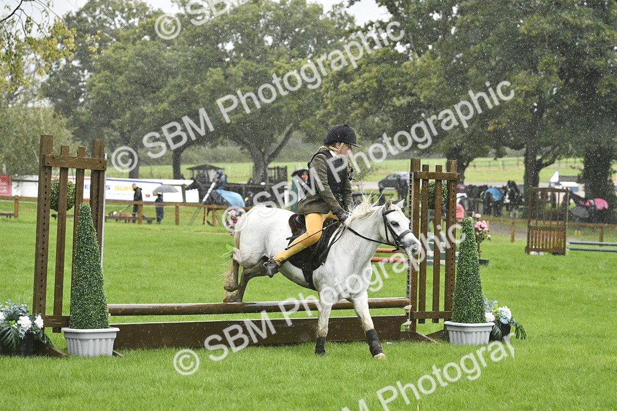 SBM_37130 - S31 - Novice & Newcomer Working Hunter Pony