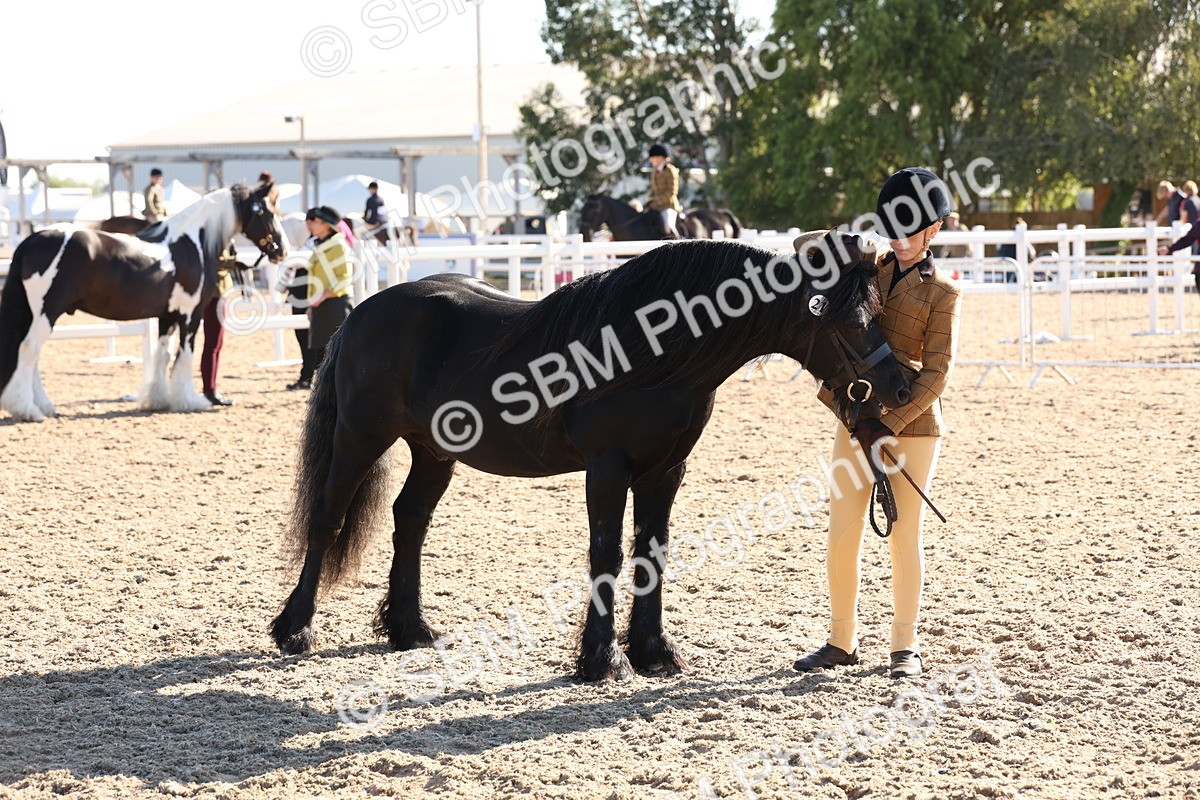SBM_11725 - Class 204 - Young Handler 11 to 16 years