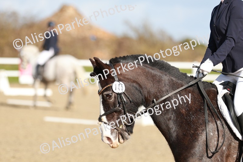 20260314-4535 - DR4 - Prelim 2