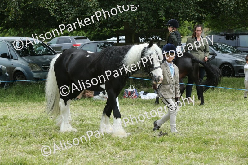 20260614-4257 - Class 18 - Best Junior Handler