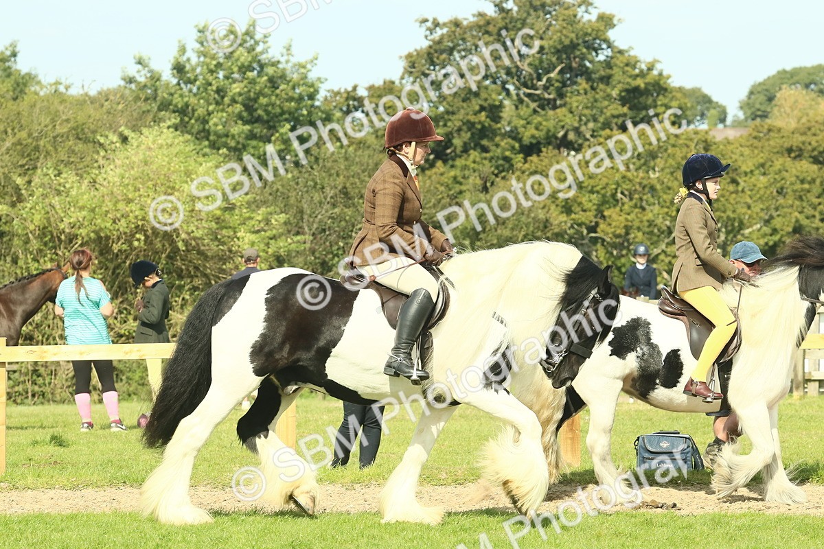 SBM_67429 - S56 - Coloured Pony Ridden