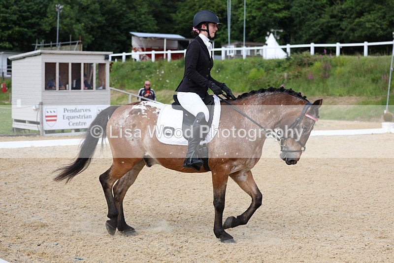 3E7A1446 - Class 2: Intro 2 2024 Section B