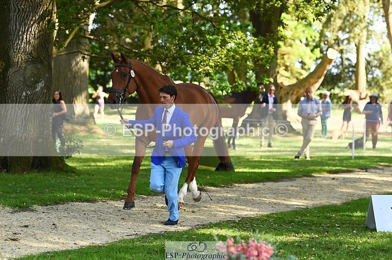 230524-163210-00927 - 181-AMIRO_ISLAND-Harry_Meade-WEDTrotUp+DR