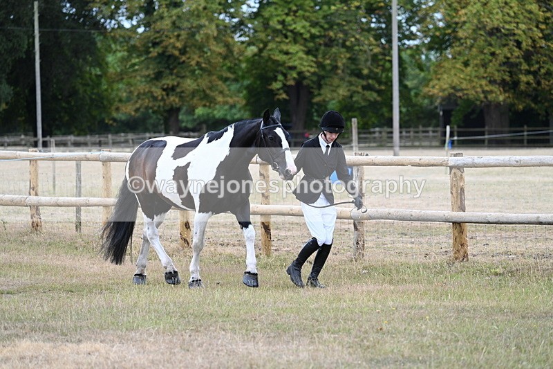WJ7_8824 - Class 4a Prettiest Mare 14.2hh and over