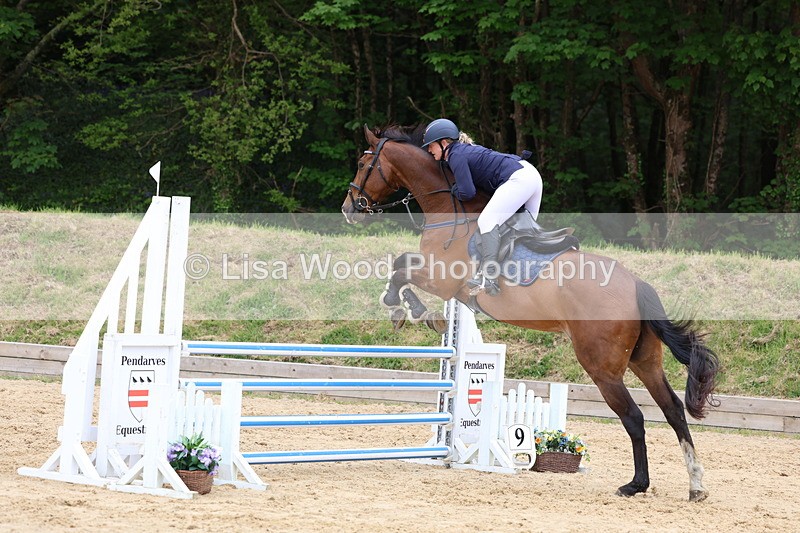 3E7A6322 - Class 4: Senior British Novice/90cm open