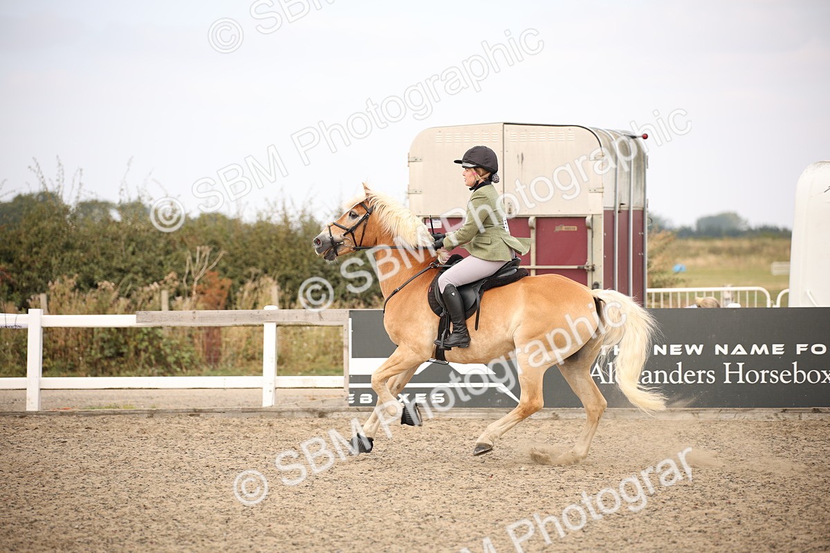 SBM_16165 - Class 409a - Working Veteran 80cm (15-19)