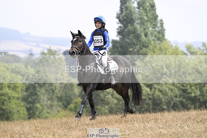 250824A-125818-36575 - 2053-Ava.Sampson-Chameleon