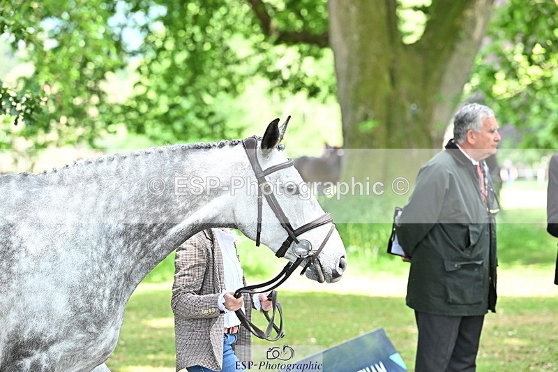 250521A-152018-00433 - B-357-Rosalind.Canter-ARMSCOTE.EXPLORER