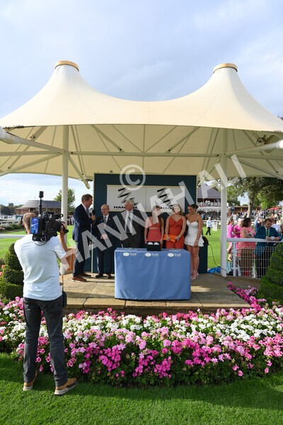 yr04092022r6-68 - Race 6 4.40pm Hanson Springs Stakes