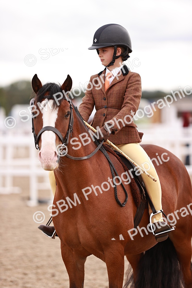 SBM_18489 - Class 420 - Ridden M&M