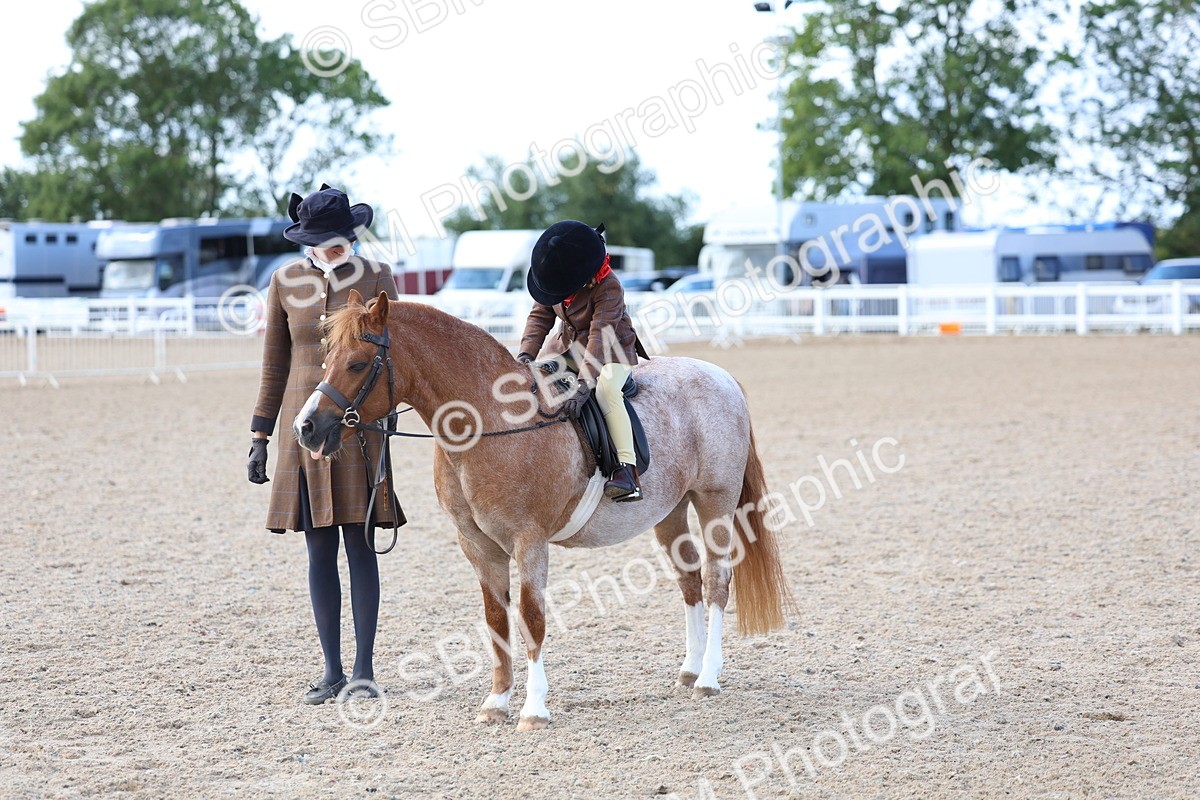 SBM_13104 - Class 309 - Lead Rein Pony