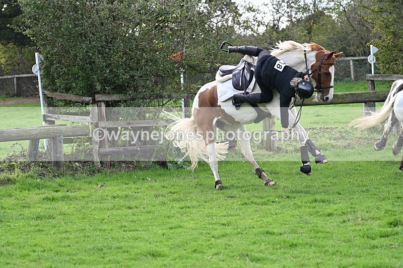 WJ7_8277 - Time 12:12 to 12:37