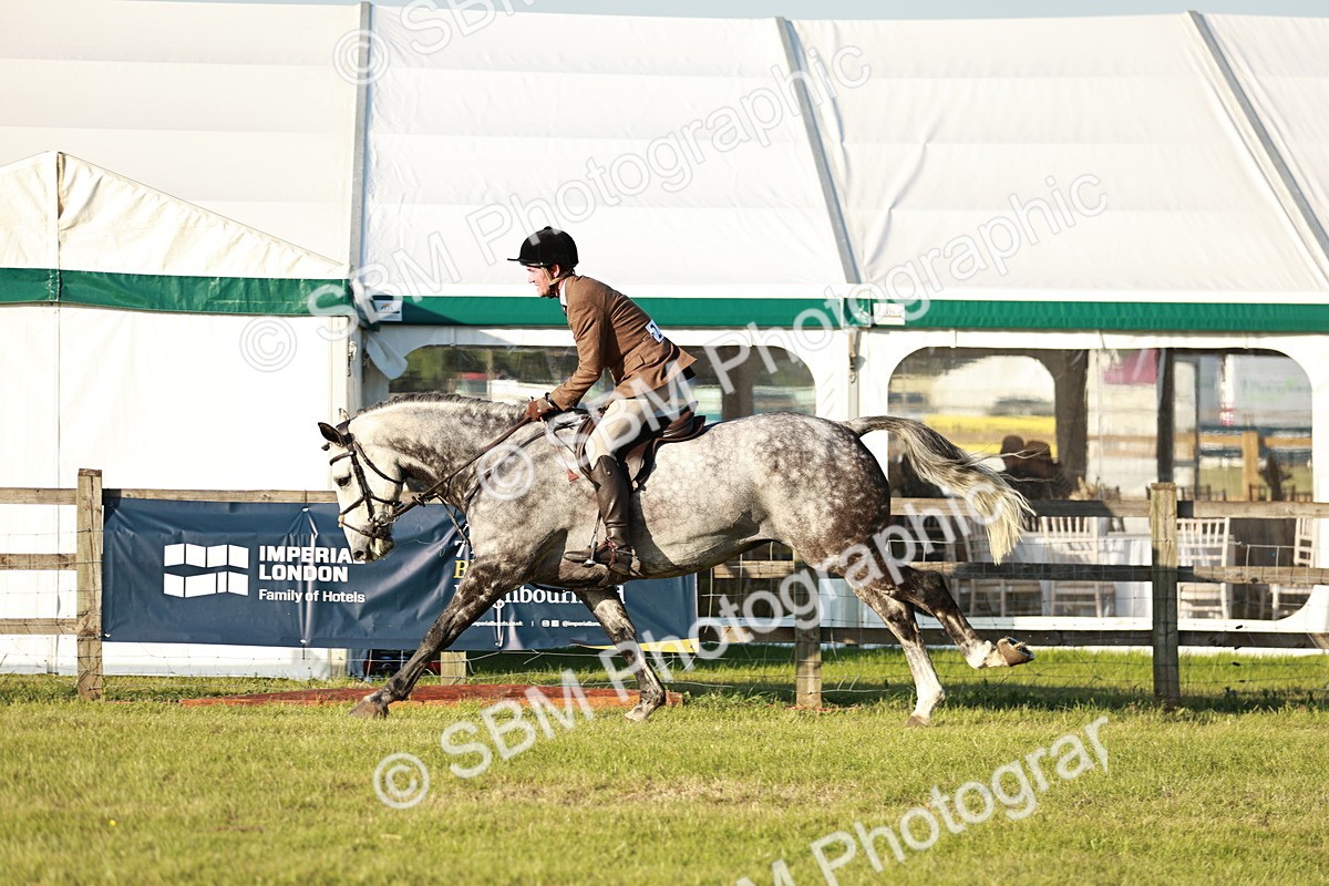 SBM_20496 - Class 117-119 - Sport Horse Working Hunter