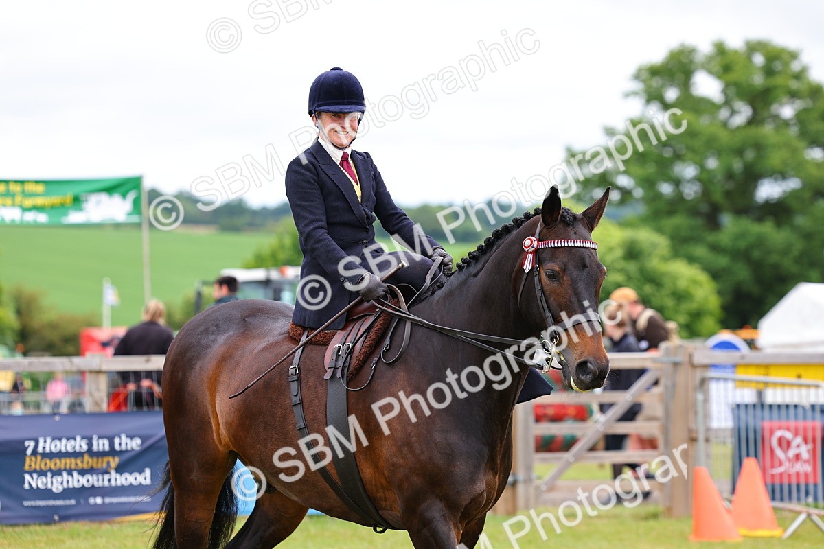 SBM_02804 - Class 9-11 Side Saddle including LIHS Rising Star Ladies Show Horse