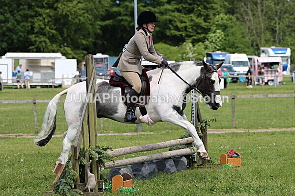 IMG_3247 - Working Hunter