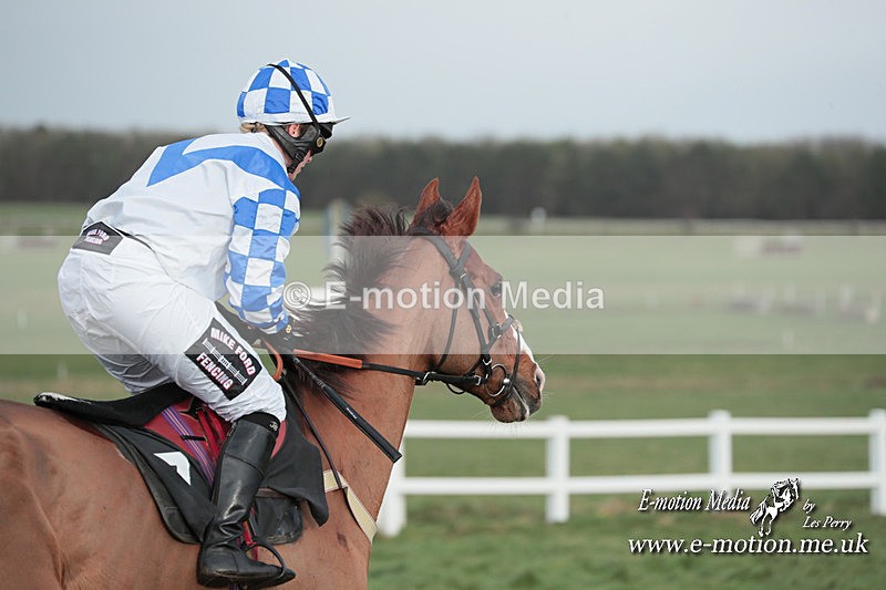 PtP 311223 244 - Larkhill Racing Club Point-to-Point 31/12/23