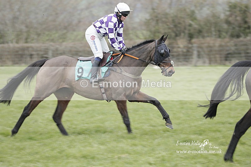 PtP 050323 396 - Blackmore & Sparkford Vale Hunt PtP - Somerset 05/03/23