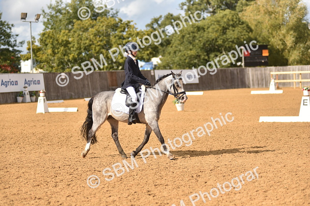 SBM_48807 - D22 - Junior Championship Intro 3