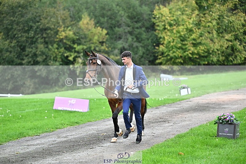 251022A-161341-00781 - A-017-Harrison.Chart