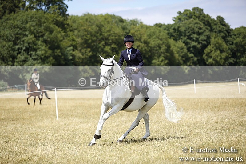 _C7A0246 - Side Saddle Classes BVRC Show 2018