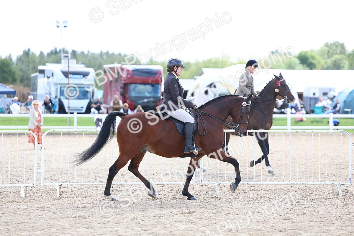 SBM_17100 - Class 315 - Best Horse - Rider Combination
