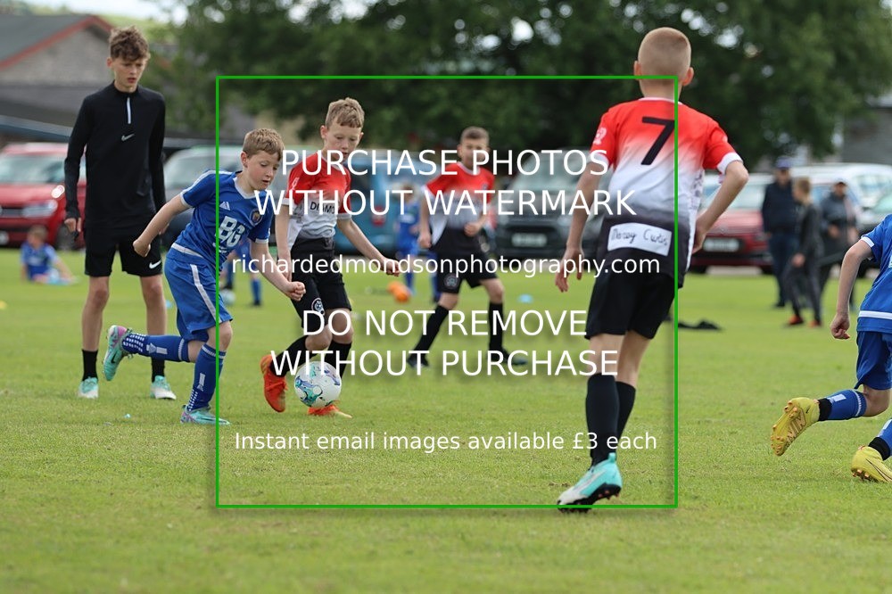 IMG_5729 - Workington Diamonds