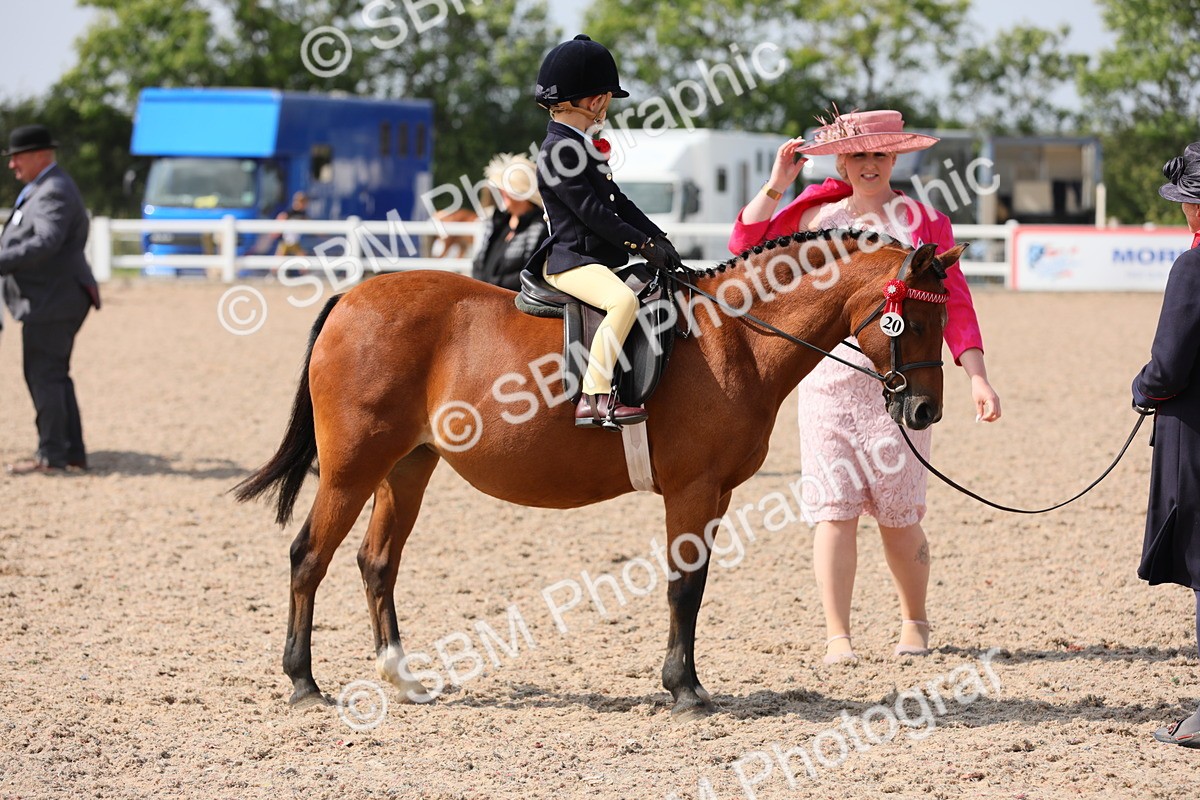 SBM_14046 - Class 309 Lead Rein Pony