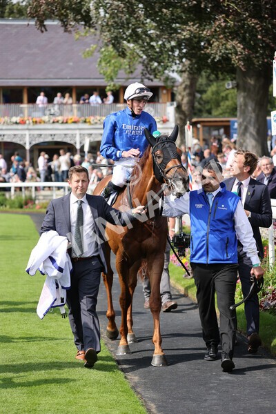 yr18082021r3-93 - Race 3 3.00pm Sky Bet Great Voltigeur Stakes