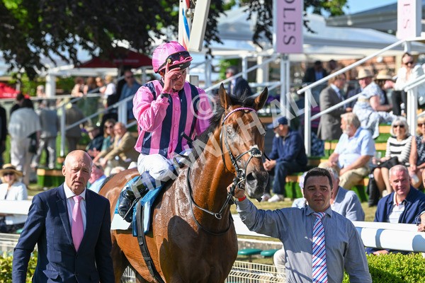 160525-Race 6-Bowmark-7256 - Race 6 4.55pm Darley EBF 'Confined' Novice Stakes