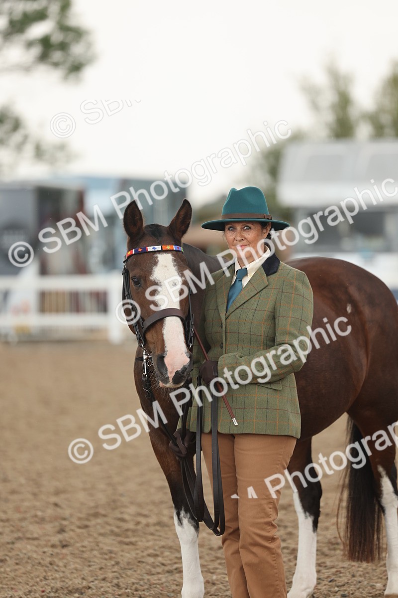SBM_07697 - Class 26 - IH Foreign Breeds - Part Bred