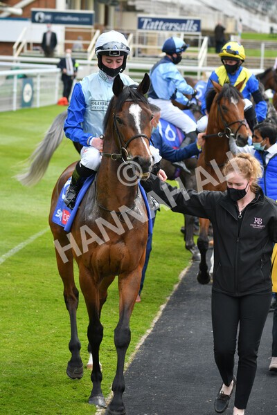 yr12052021r1-22 - Race 1 1.40pm Sky Bet Race to the Ebor Jorvik Stakes