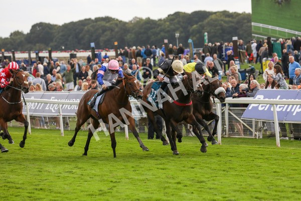 220824-Race 7-Alfa Kellenic-7893 - Race 7 5.20pm British EBF Fillies' Handicap