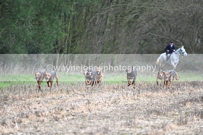 WJ6_9416 - Line Four