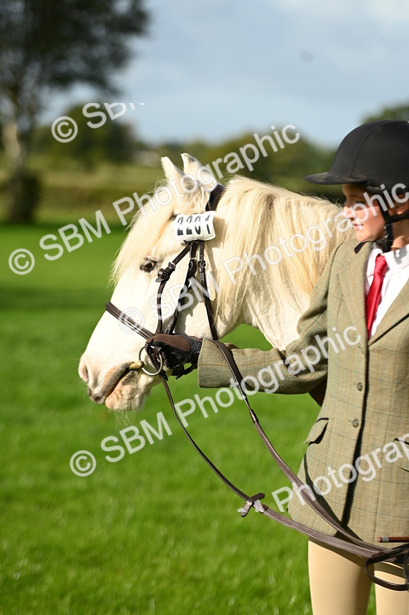SBM_15876 - S1 - TSR in Hand Horse & Pony Showing