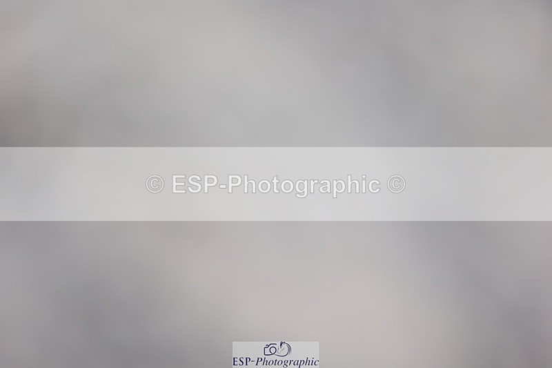 241201X-130913-01461 - Cls 26 Springboard