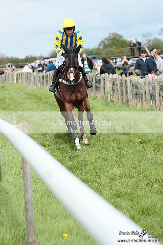 PtP 180426 349 - Worcestershire Hunt PtP Chaddesley Corbett 18/04/26