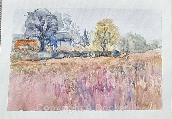 Cambridgeshire Lavender - Watercolours