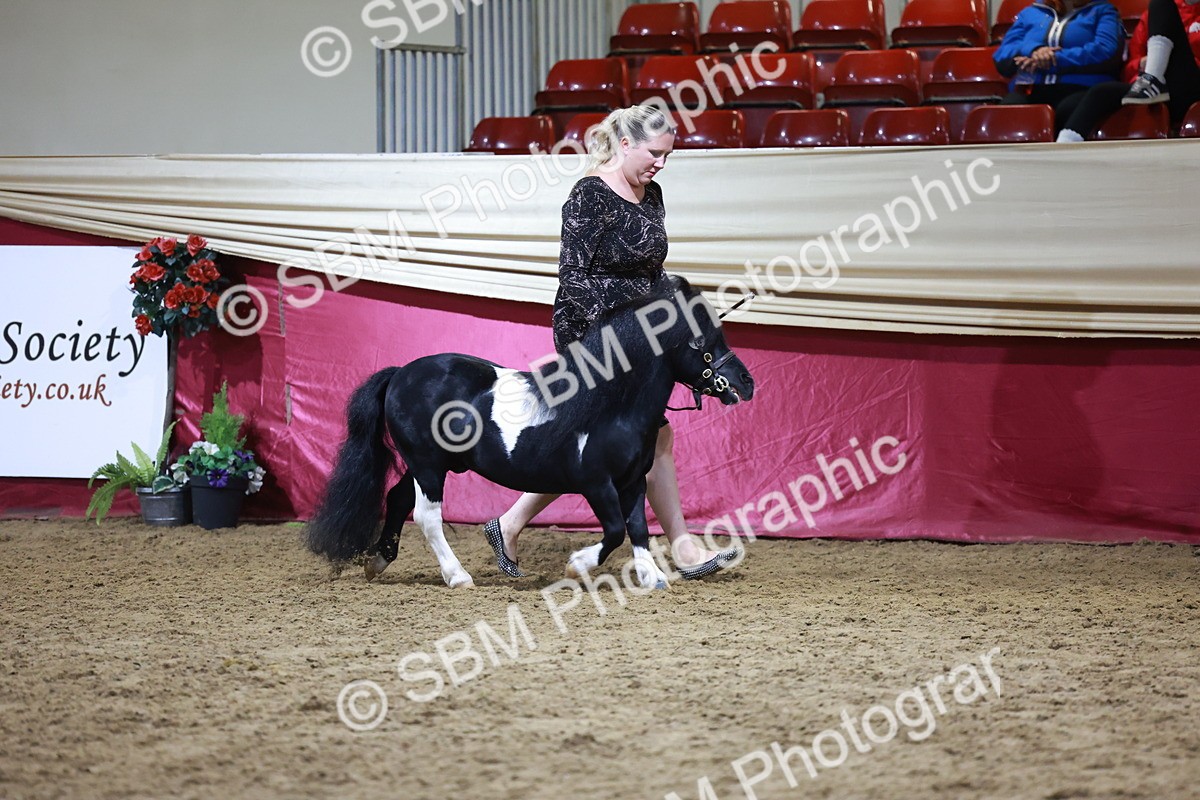 SBM_21513 - Class V - Champion of Champions