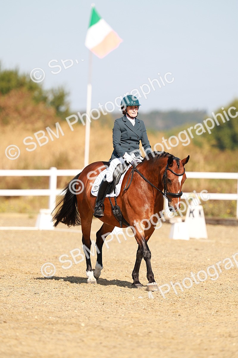 SBM_016724 - Class 9 - N5 Bronze 9.30.10.19