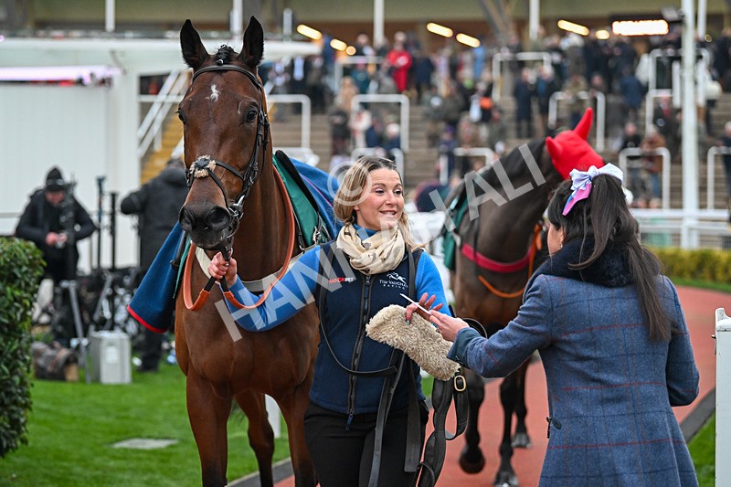 151124-Race 6-BTO-Razzle Dazzle Boy-8787 - Race 6